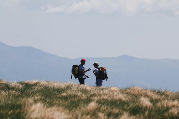 Welke activiteiten in Nederland zijn gratis of hebben een lage entreeprijs?